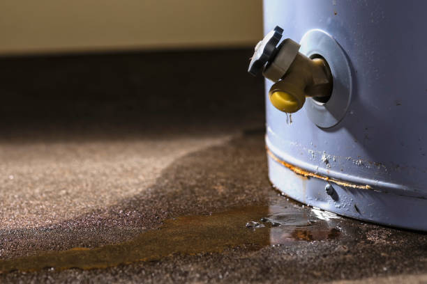 Best Flooded house restoration  in Grandy, NC