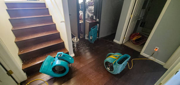 Best Flooded house restoration  in Grandy, NC