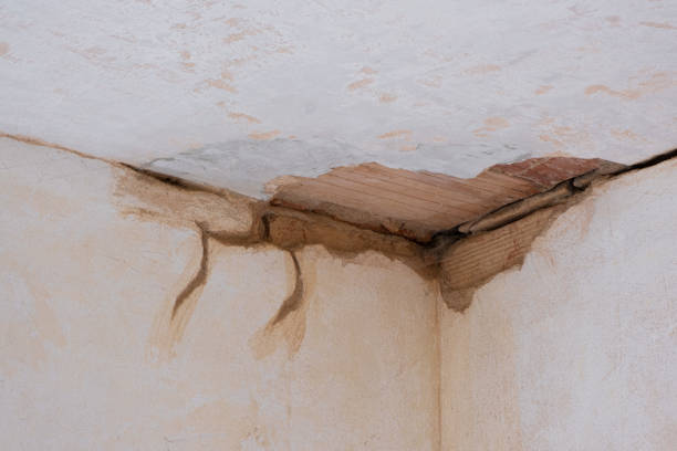 Best Emergency water damage restoration  in Grandy, NC