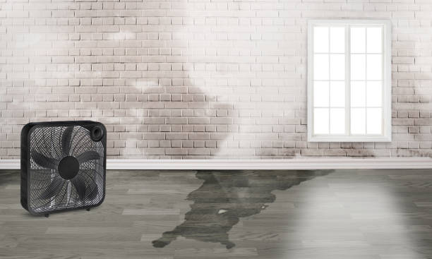 Best Water damage restoration near me  in Grandy, NC