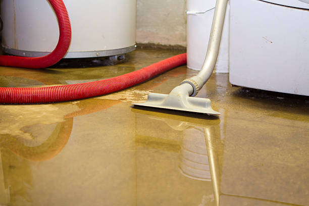 Best 24-hour water damage restoration  in Grandy, NC