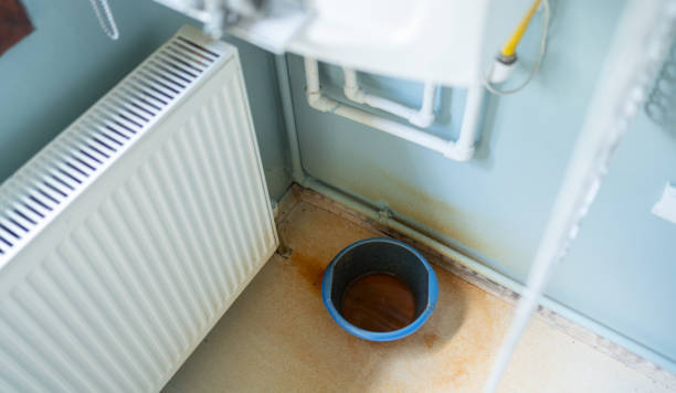 Best Ceiling water damage repair  in Grandy, NC