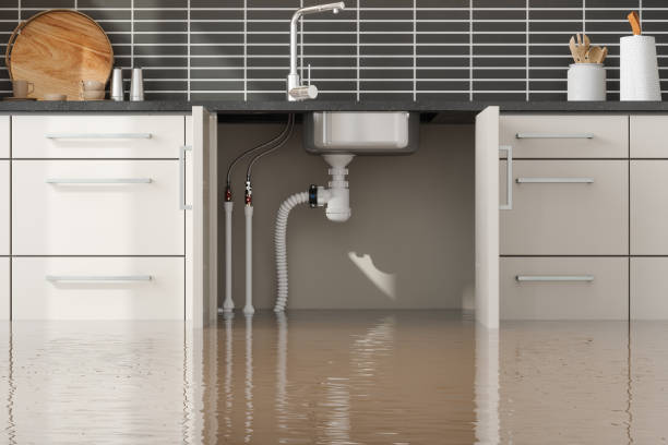 24/7 water damage repair in Grandy, NC