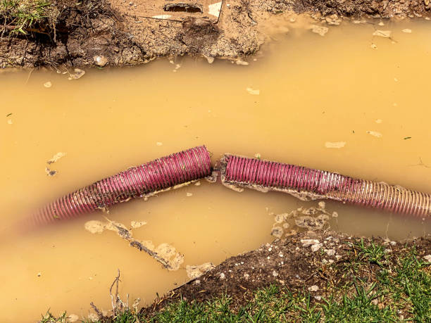 Water damage restoration process in Grandy, NC